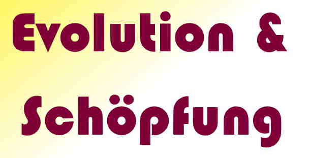 Evolution & Schpfung